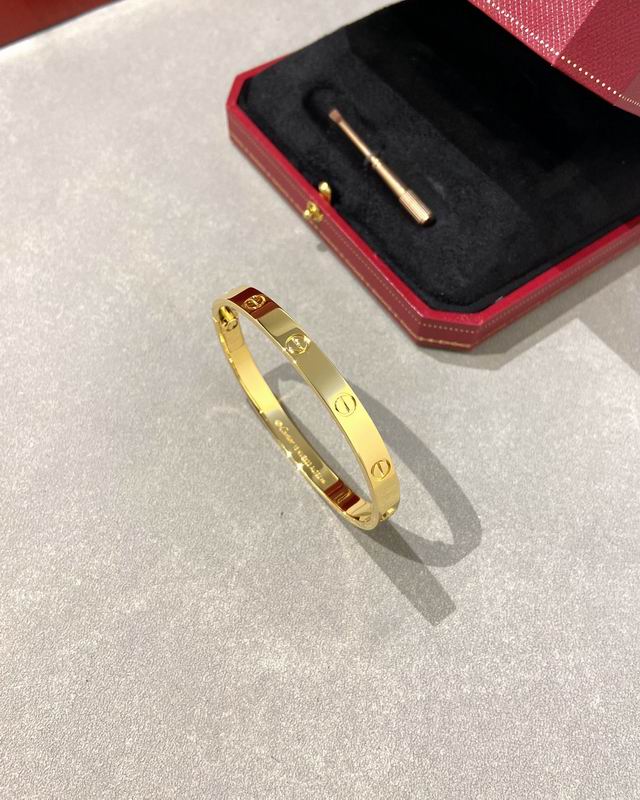 Cartier bracelet 12lyx41 (19)