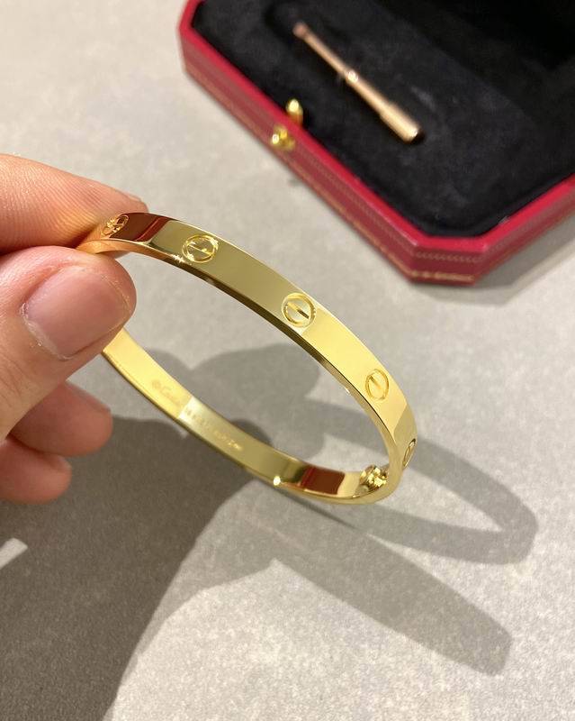 Cartier bracelet 12lyx41 (21)