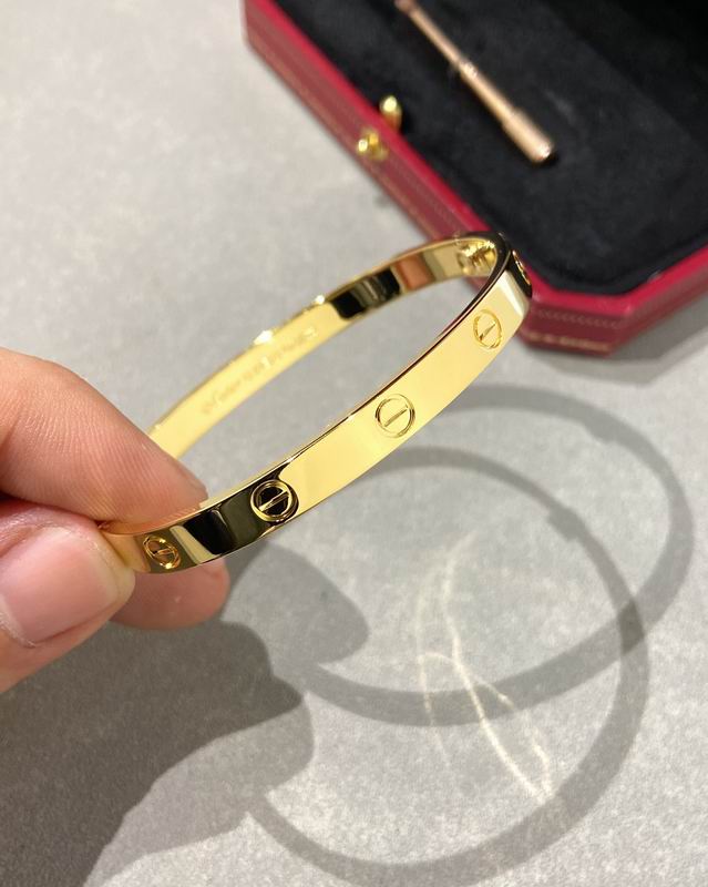 Cartier bracelet 12lyx41 (22)