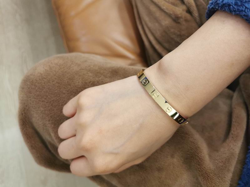 Cartier bracelet 12lyx41 (27)