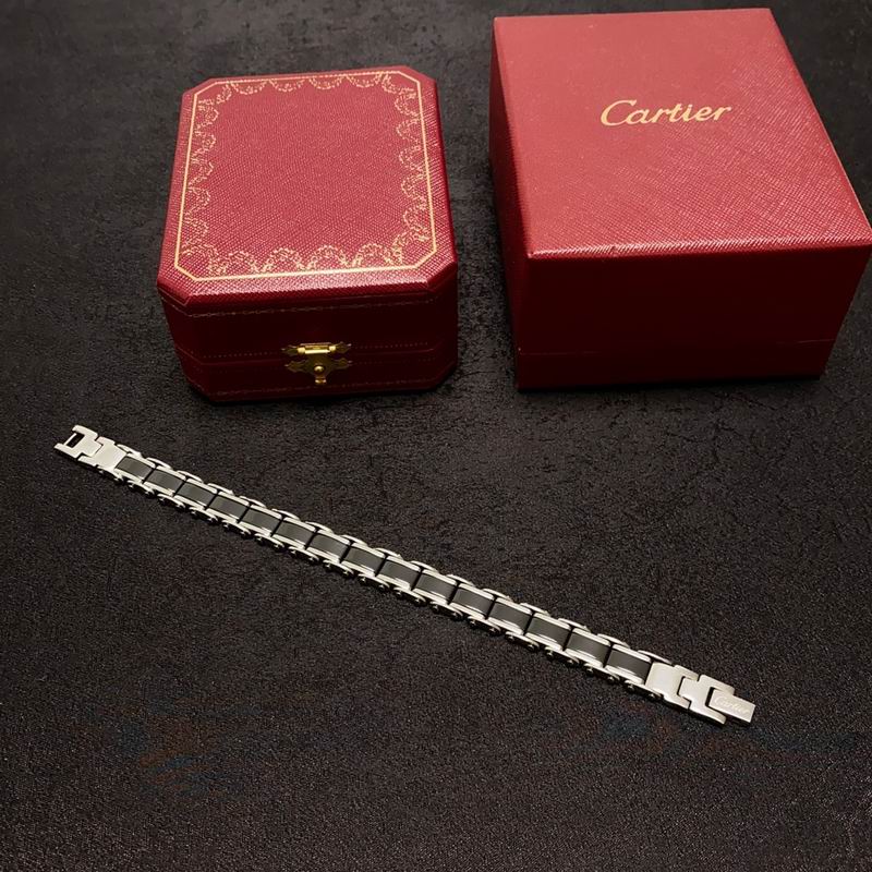 Cartier bracelet 12lyx42 (9)