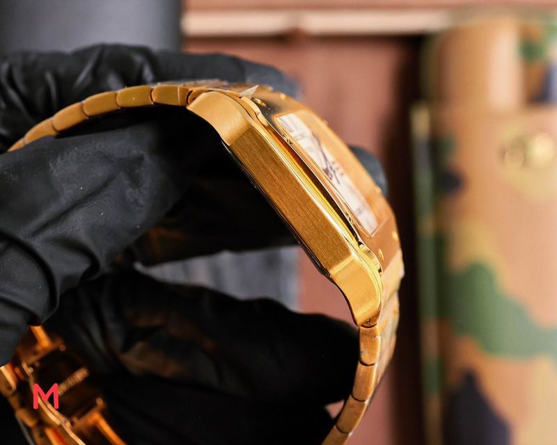 Cartier 33X11mm 105 (10)