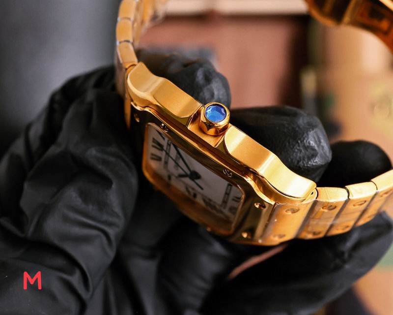 Cartier 33X11mm 105 (14)