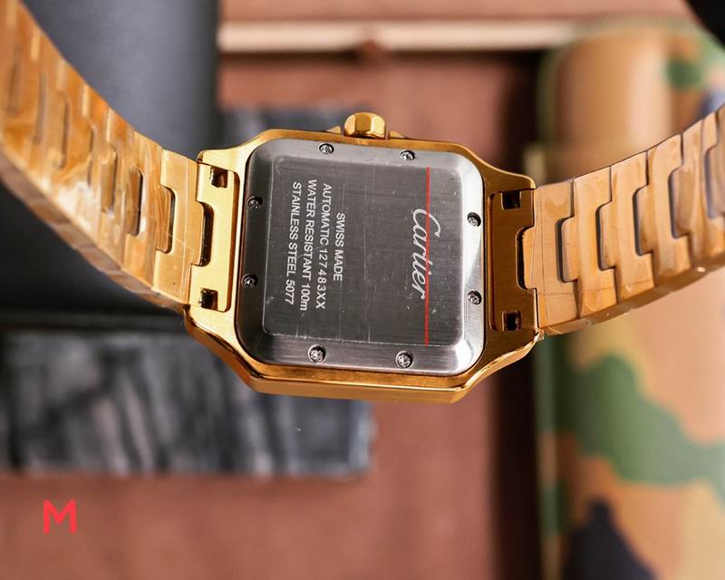 Cartier 33X11mm 105 (17)