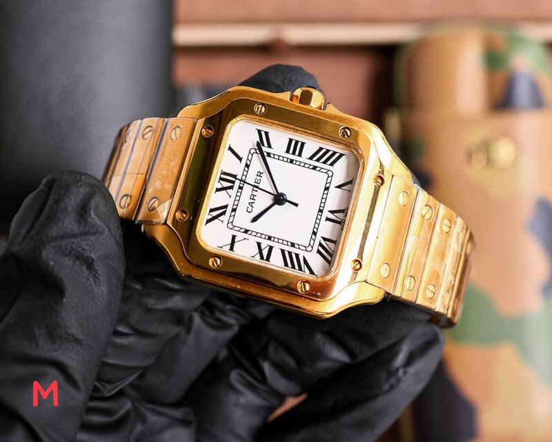 Cartier 33X11mm 105 (18)