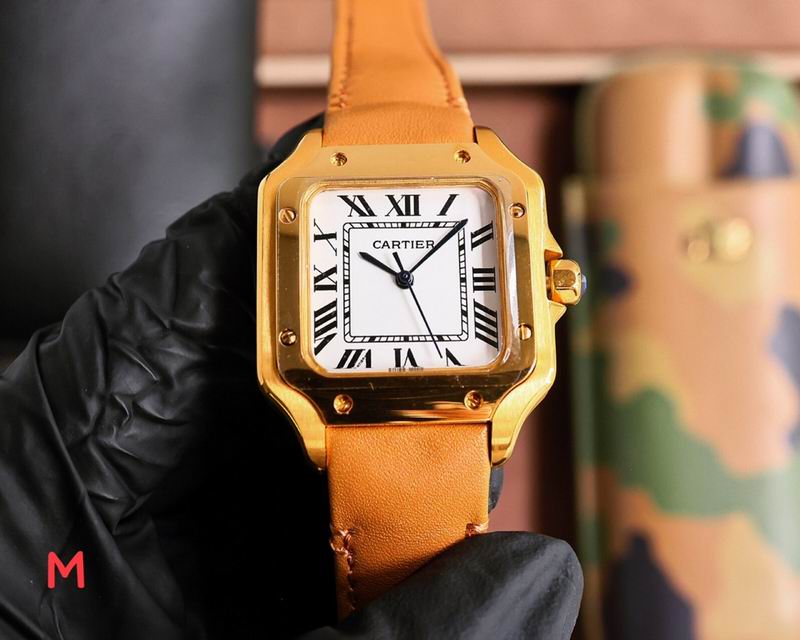 Cartier 33X11mm 105 (19)