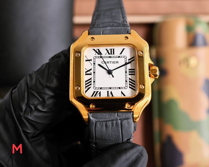 Cartier 33X11mm 105 (20)