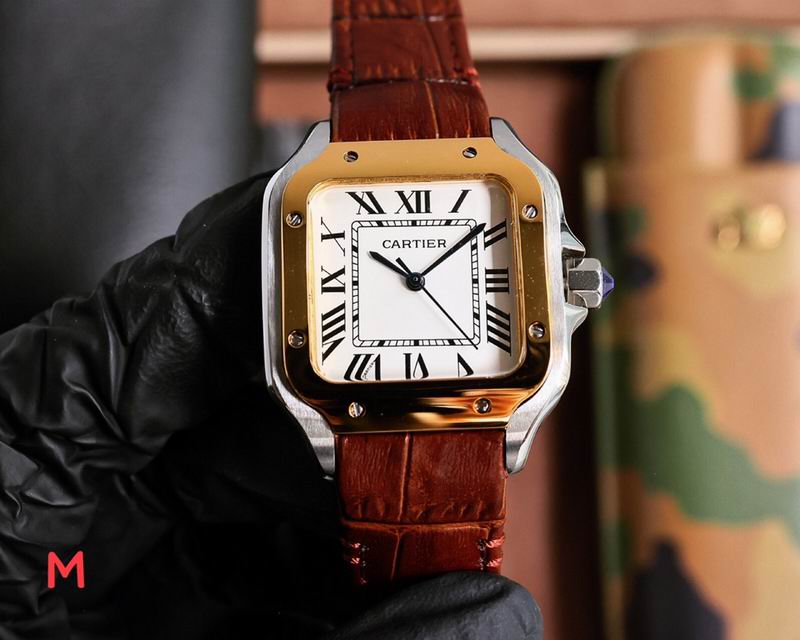 Cartier 33X11mm 105 (23)