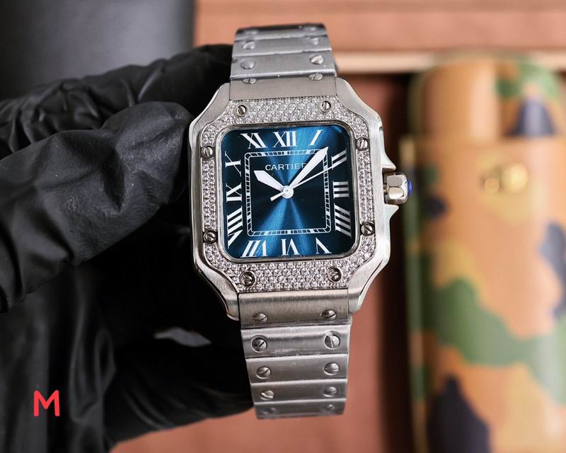 Cartier 33X11mm 106 (1)