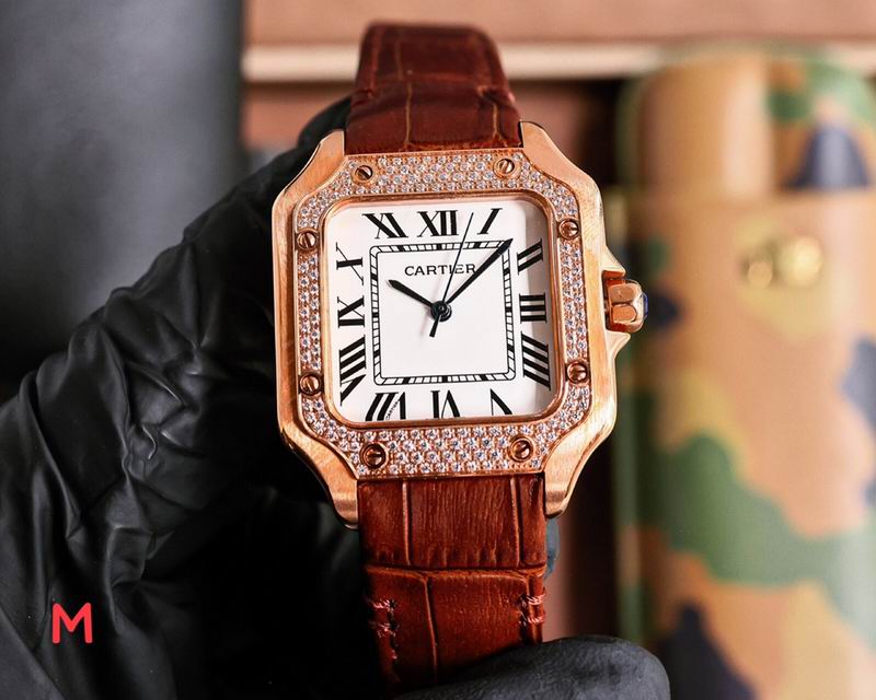 Cartier 33X11mm 106 (10)