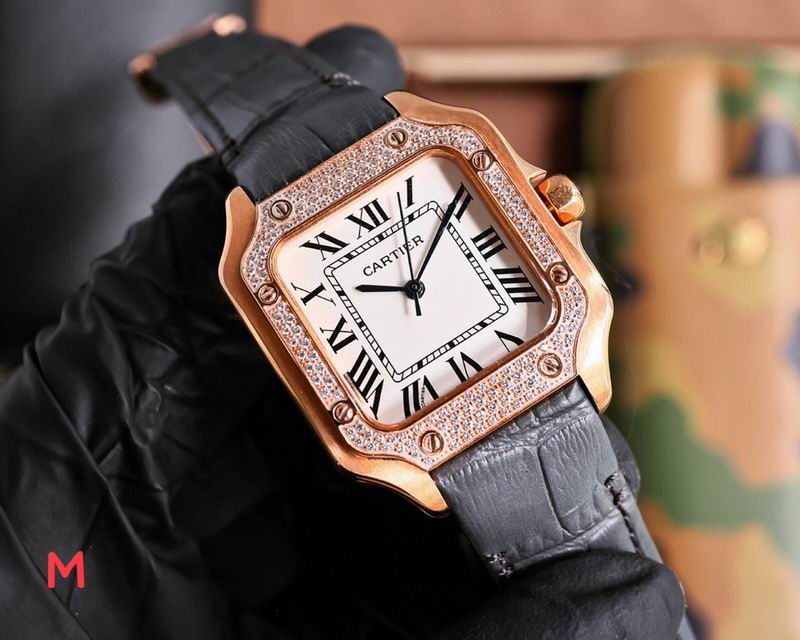 Cartier 33X11mm 106 (12)