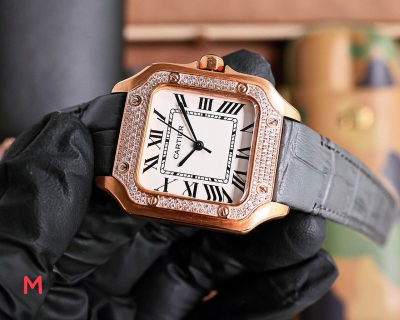 Cartier 33X11mm 106 (14)