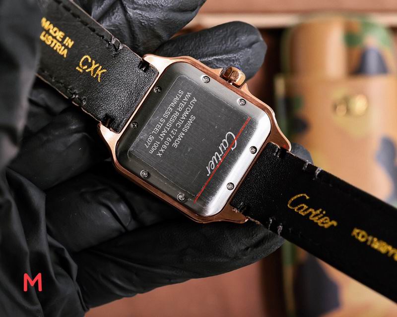 Cartier 33X11mm 106 (15)