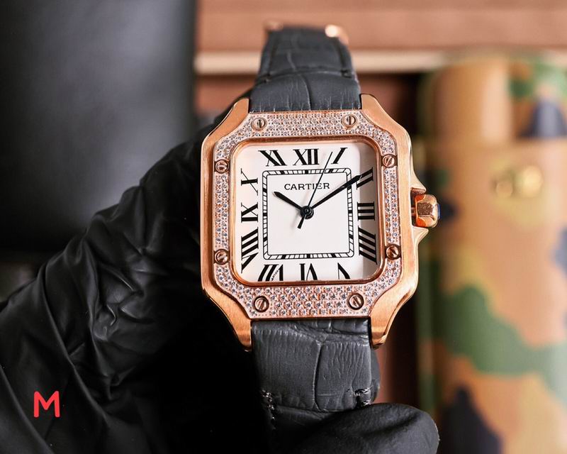 Cartier 33X11mm 106 (16)