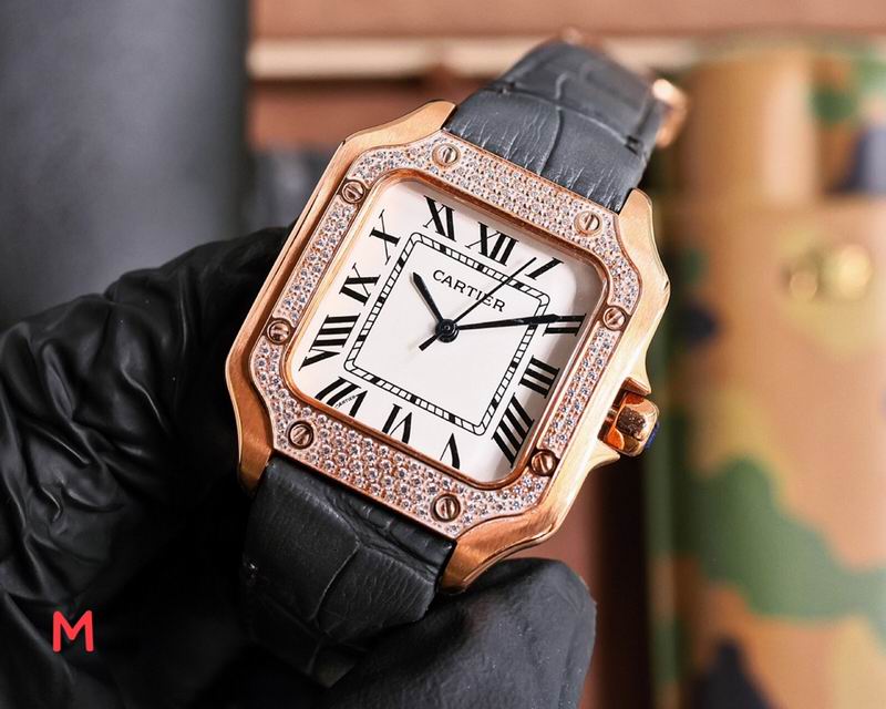 Cartier 33X11mm 106 (17)