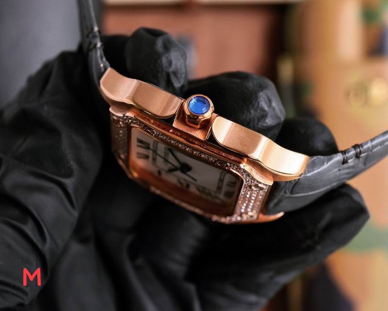 Cartier 33X11mm 106 (18)