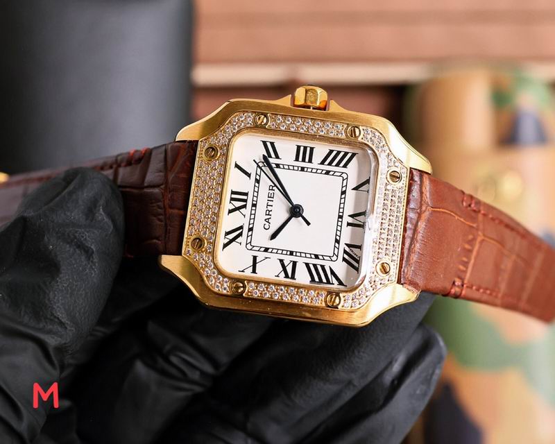 Cartier 33X11mm 106 (19)