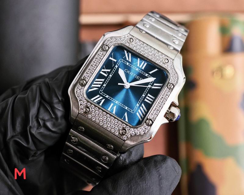 Cartier 33X11mm 106 (2)