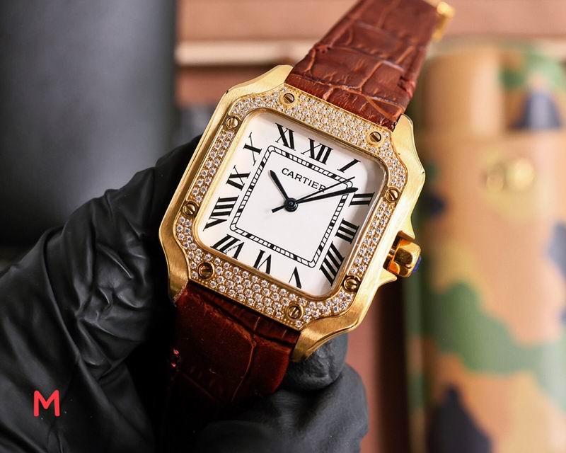 Cartier 33X11mm 106 (20)