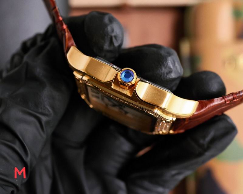 Cartier 33X11mm 106 (21)