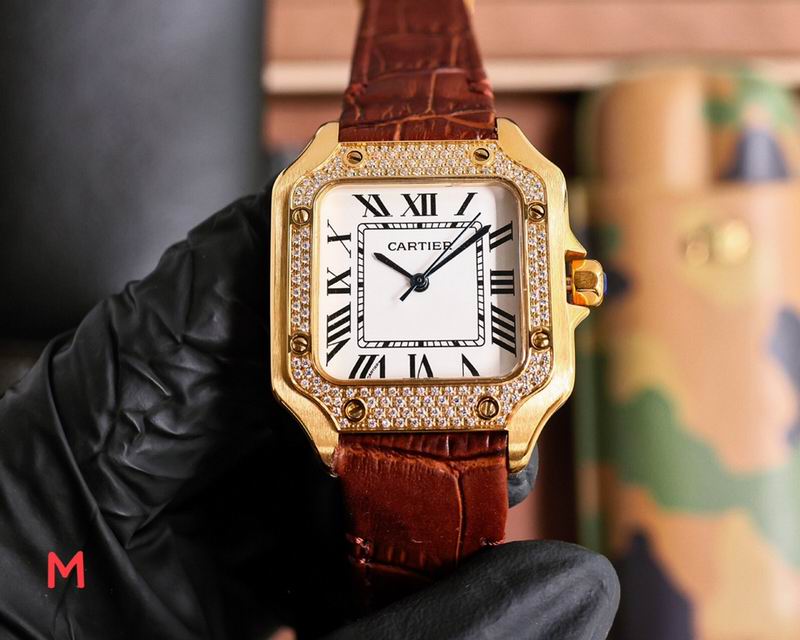 Cartier 33X11mm 106 (22)