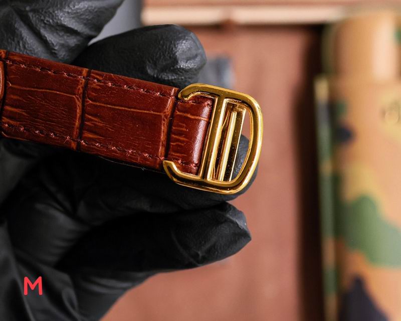 Cartier 33X11mm 106 (23)