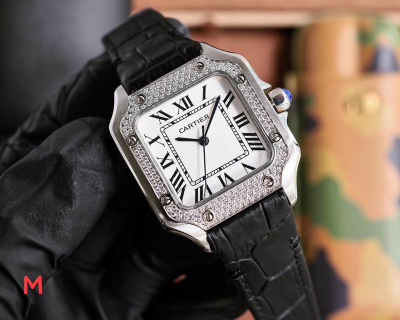 Cartier 33X11mm 106 (24)