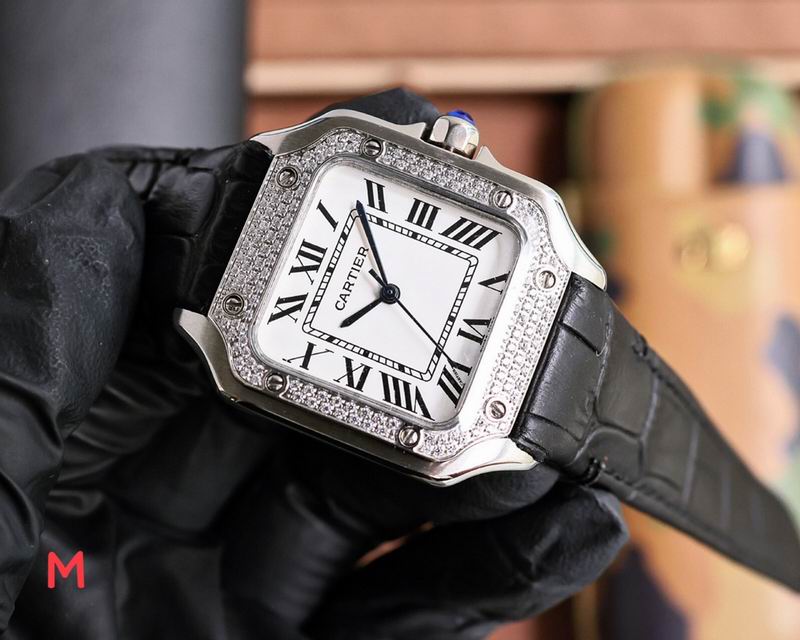 Cartier 33X11mm 106 (26)