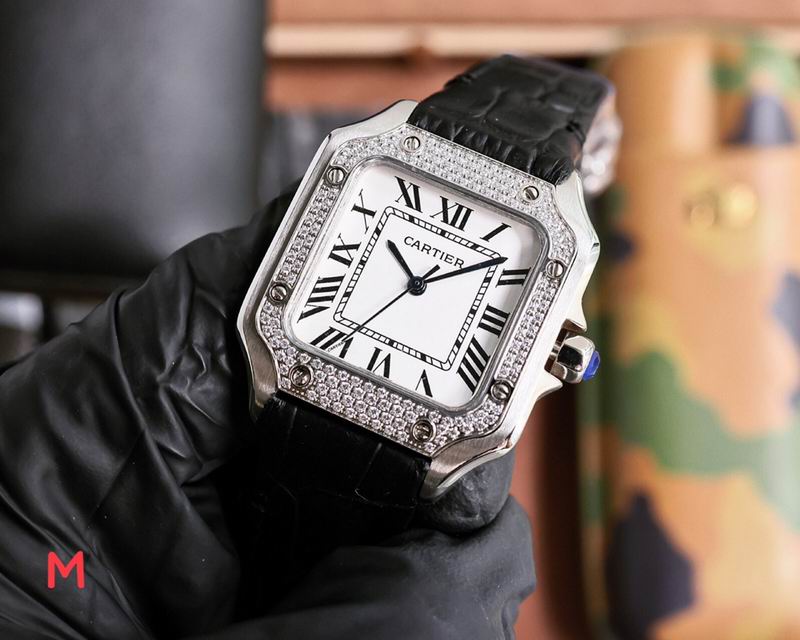 Cartier 33X11mm 106 (28)