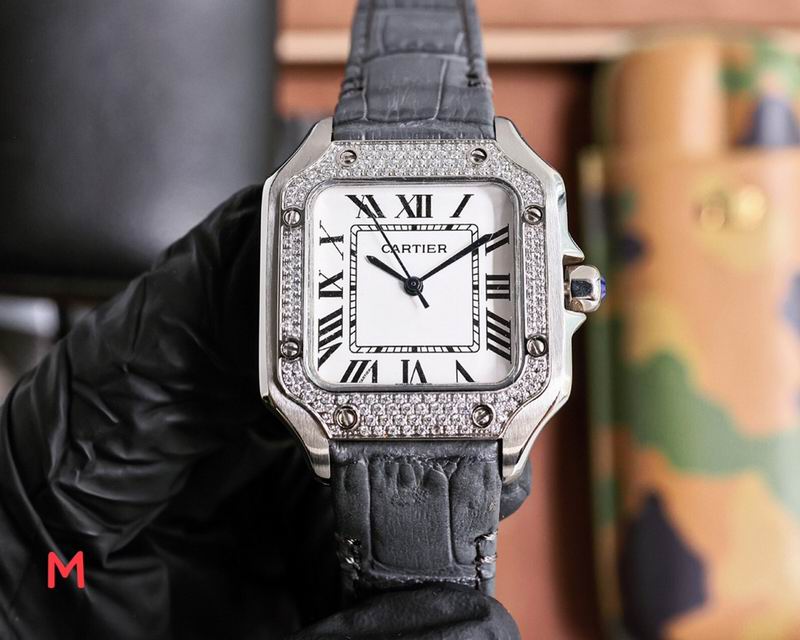 Cartier 33X11mm 106 (30)