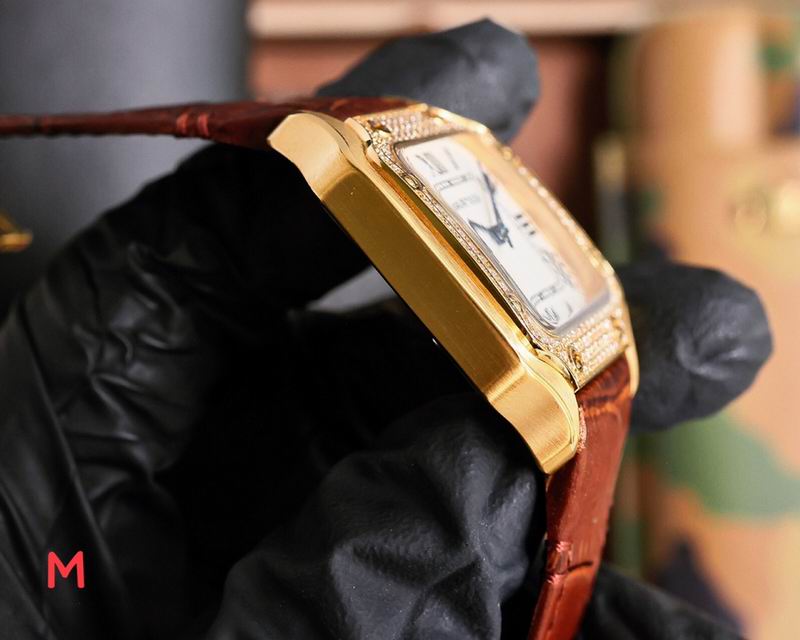 Cartier 33X11mm 106 (31)