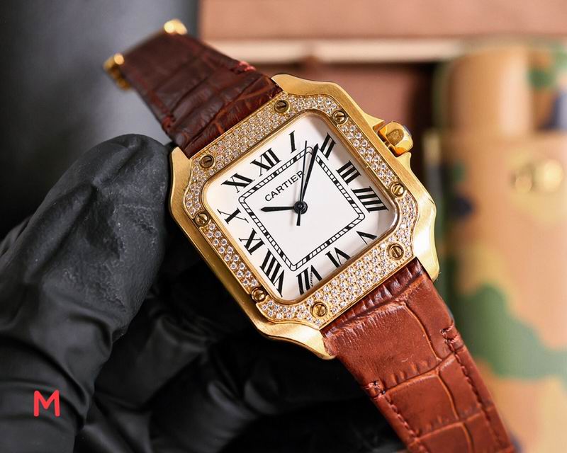 Cartier 33X11mm 106 (32)