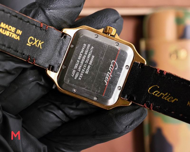 Cartier 33X11mm 106 (34)