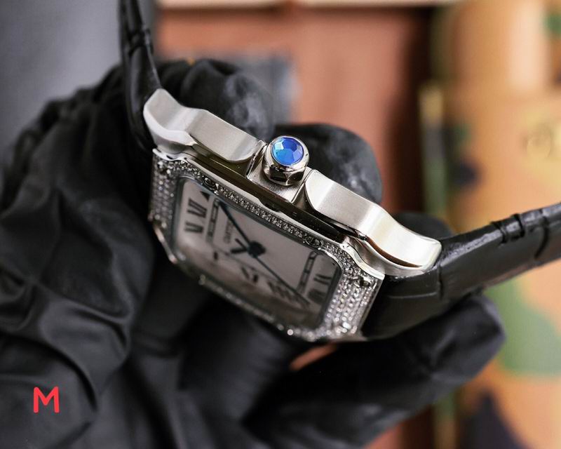 Cartier 33X11mm 106 (35)