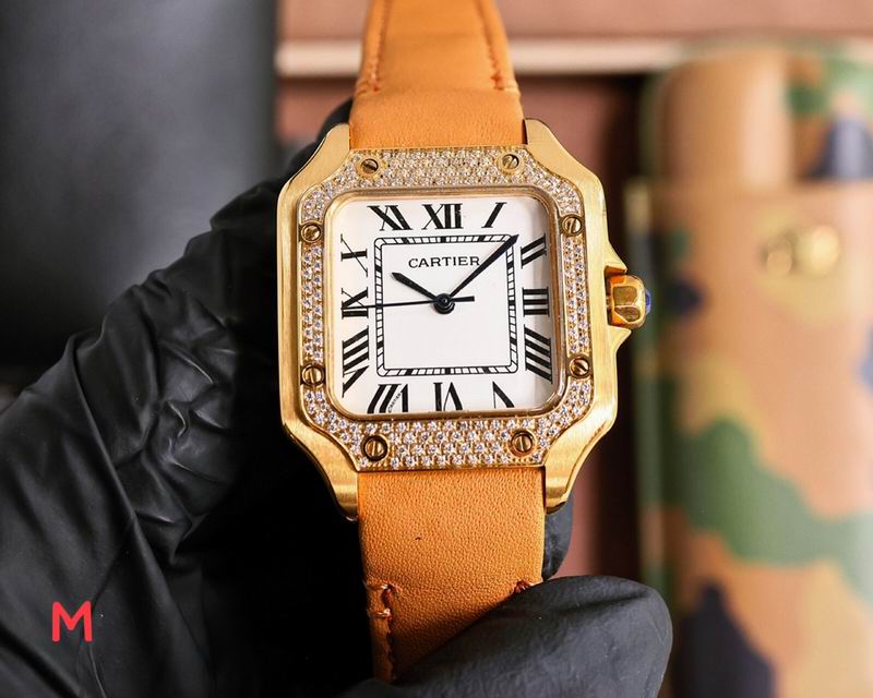 Cartier 33X11mm 106 (41)