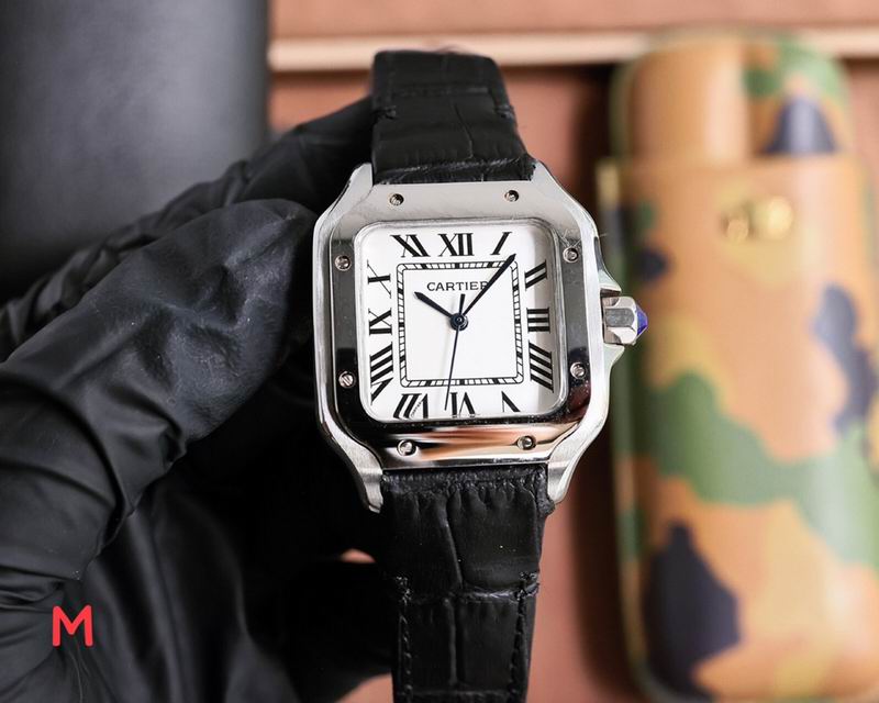 Cartier 33X11mm 106 (44)