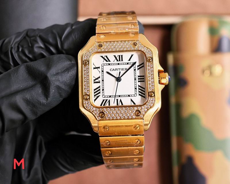 Cartier 33X11mm 106 (46)