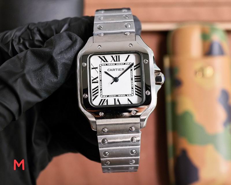 Cartier 33X11mm 106 (47)