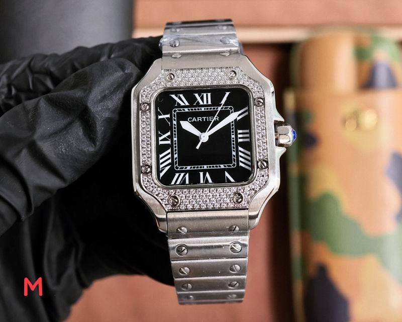 Cartier 33X11mm 106 (48)