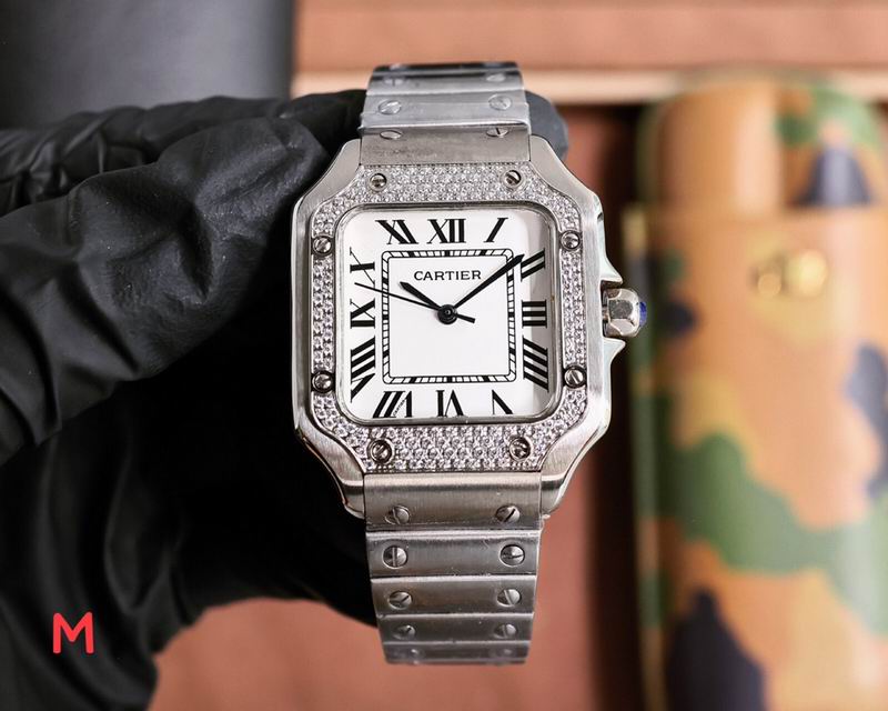 Cartier 33X11mm 106 (49)