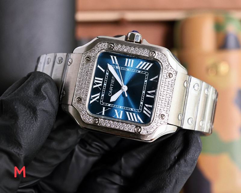 Cartier 33X11mm 106 (6)