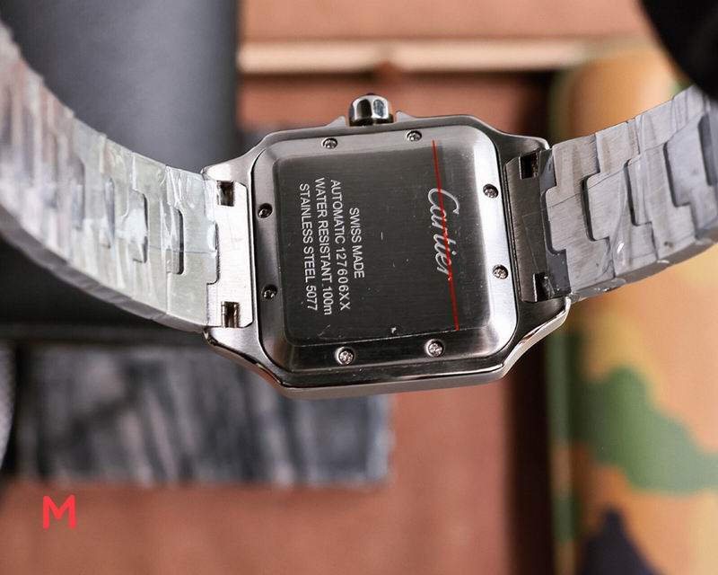 Cartier 33X11mm 106 (8)