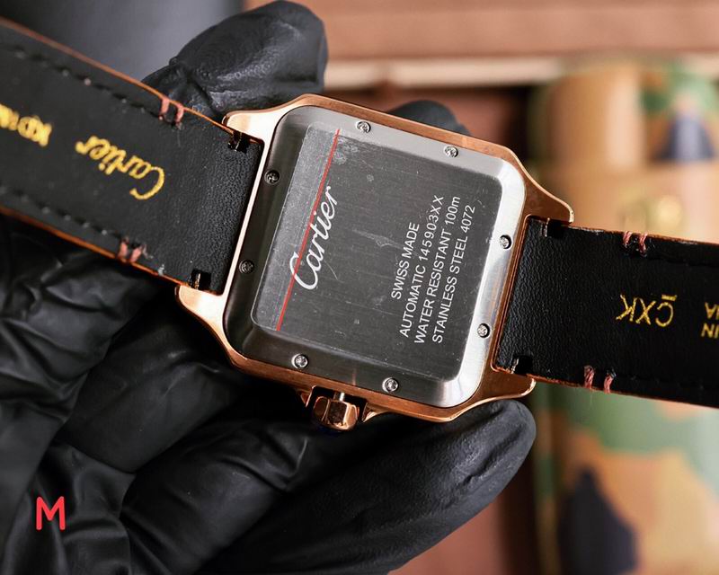 Cartier 40X12mm 113 (2)