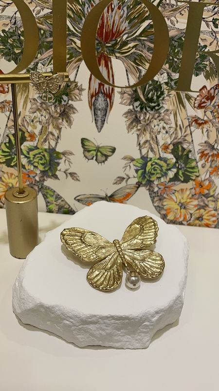 Dior Brooch 01lyr04 (1)