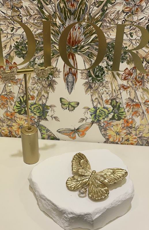 Dior Brooch 01lyr04 (4)