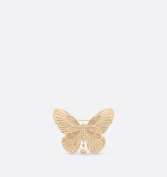 Dior Brooch 01lyr04 (9)