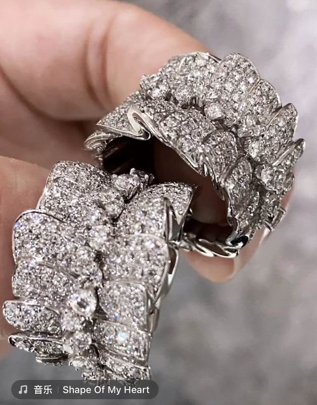 Dior Ring 01lyr23 (3)