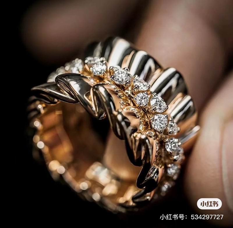 Dior Ring 03lyr44   (8)