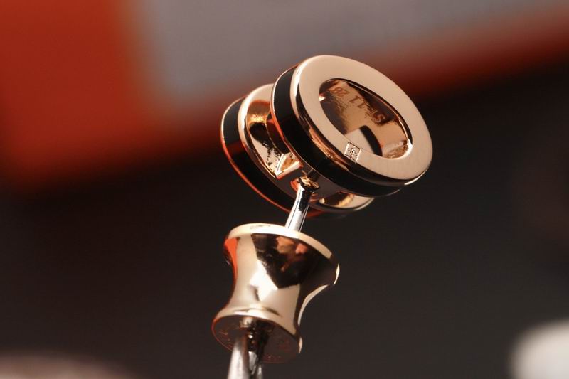 Hermes Earring 03lyr16 (16)