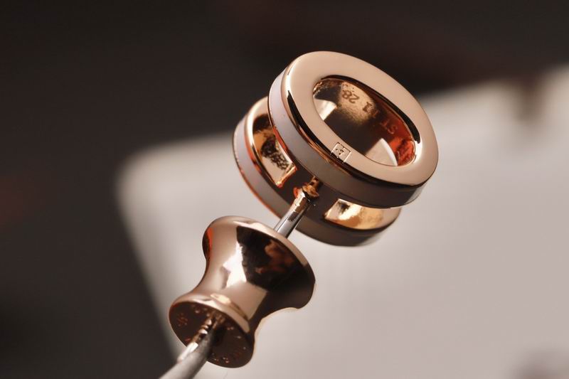 Hermes Earring 03lyr16 (3)